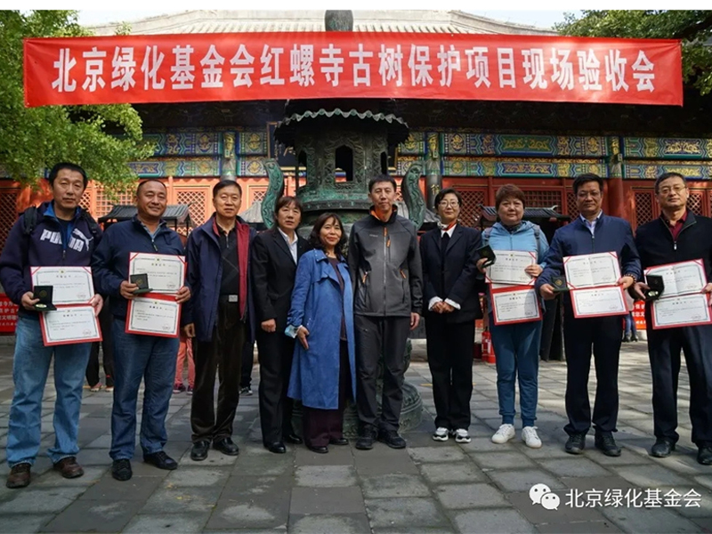 紅螺寺古樹保護(hù)項目順利完成